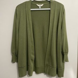 Terra & Sky Woman’s 2X (20W -22W) Green (Bay Leaf) Sweater